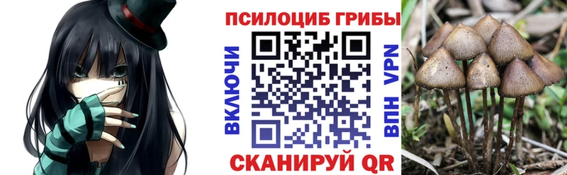 Галлюциногенные грибы MAGIC MUSHROOMS  Купить  Кимовск 